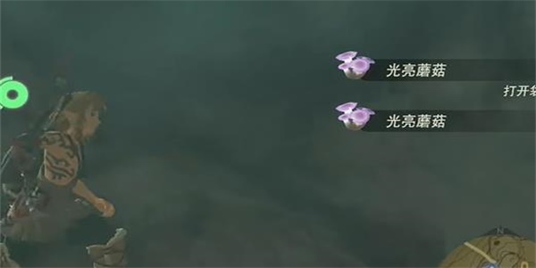 王國之淚照亮洞窟的蘑菇迷你挑戰(zhàn)攻略