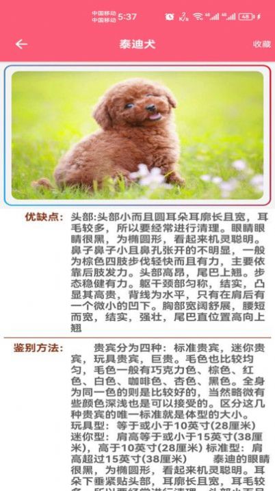 寵物寶寶大全app版截圖1