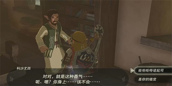 王國之淚用新名產(chǎn)振興村子情節(jié)挑戰(zhàn)攻略