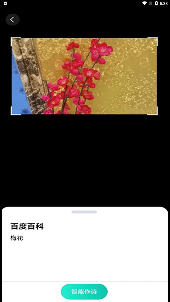 趣萌識別app安卓版截圖2