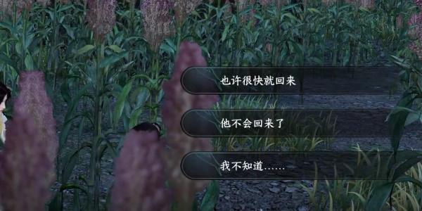 逆水寒奇遇小吉羌笛不須怨