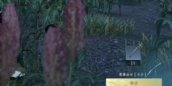 逆水寒奇遇小吉羌笛不須怨