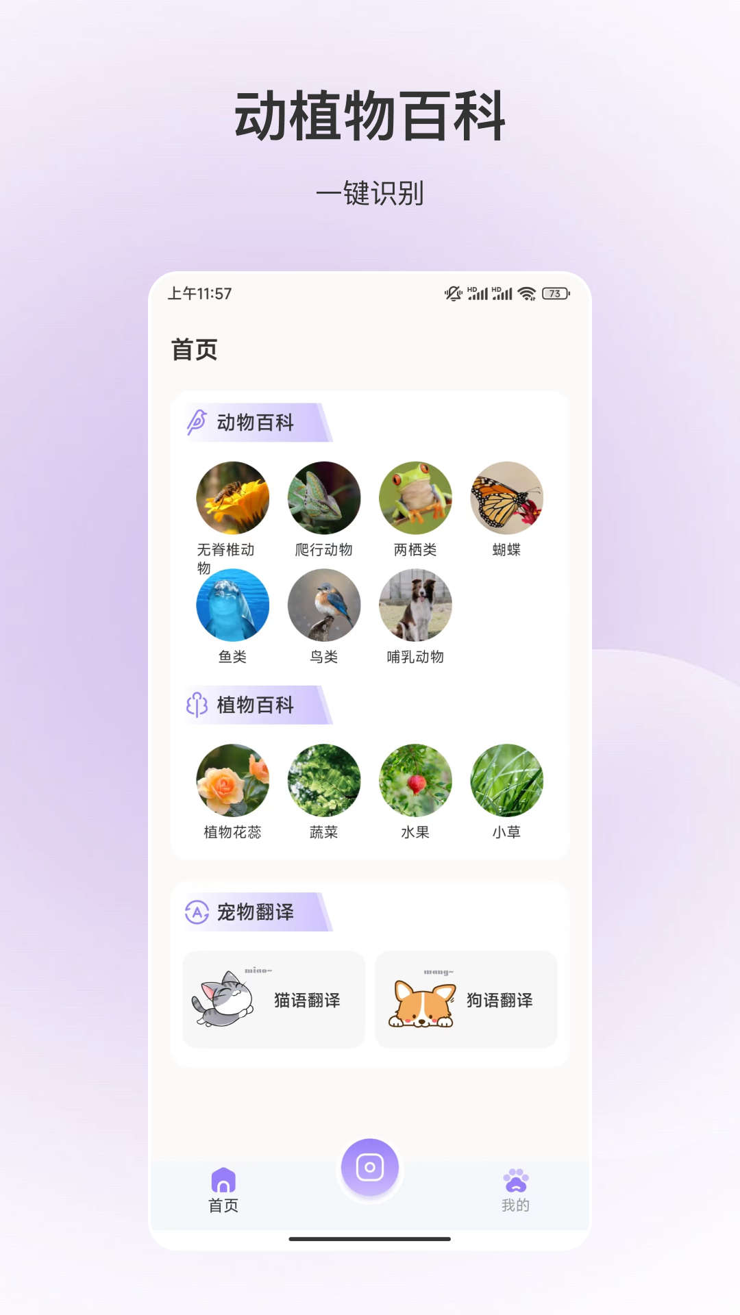 動物識別app下載截圖1