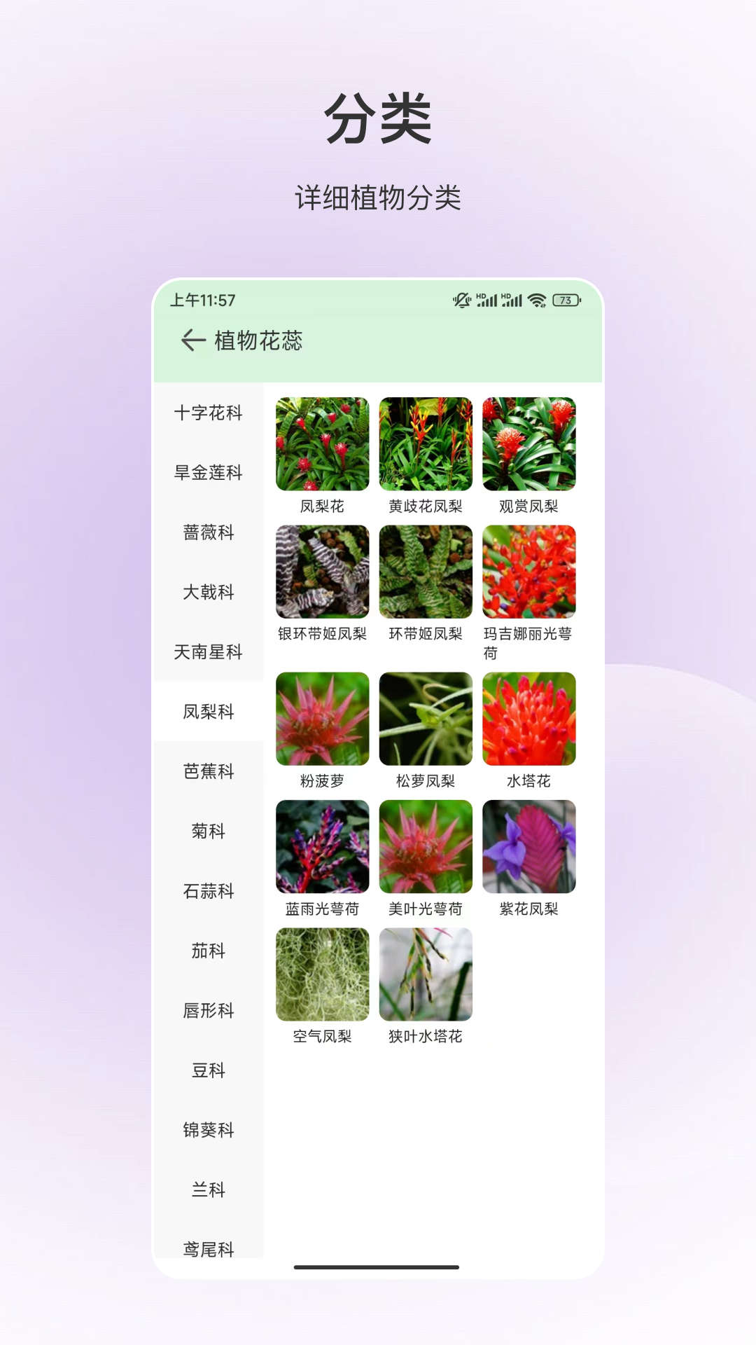 動物識別app下載截圖3