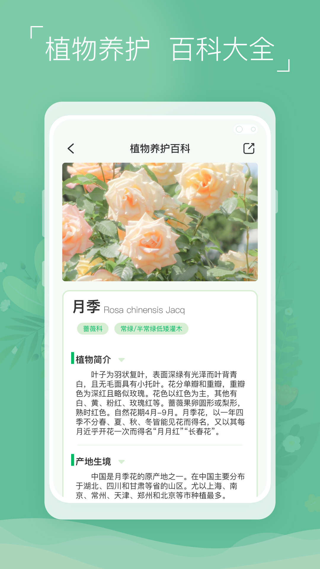 植物識別寶app版截圖2