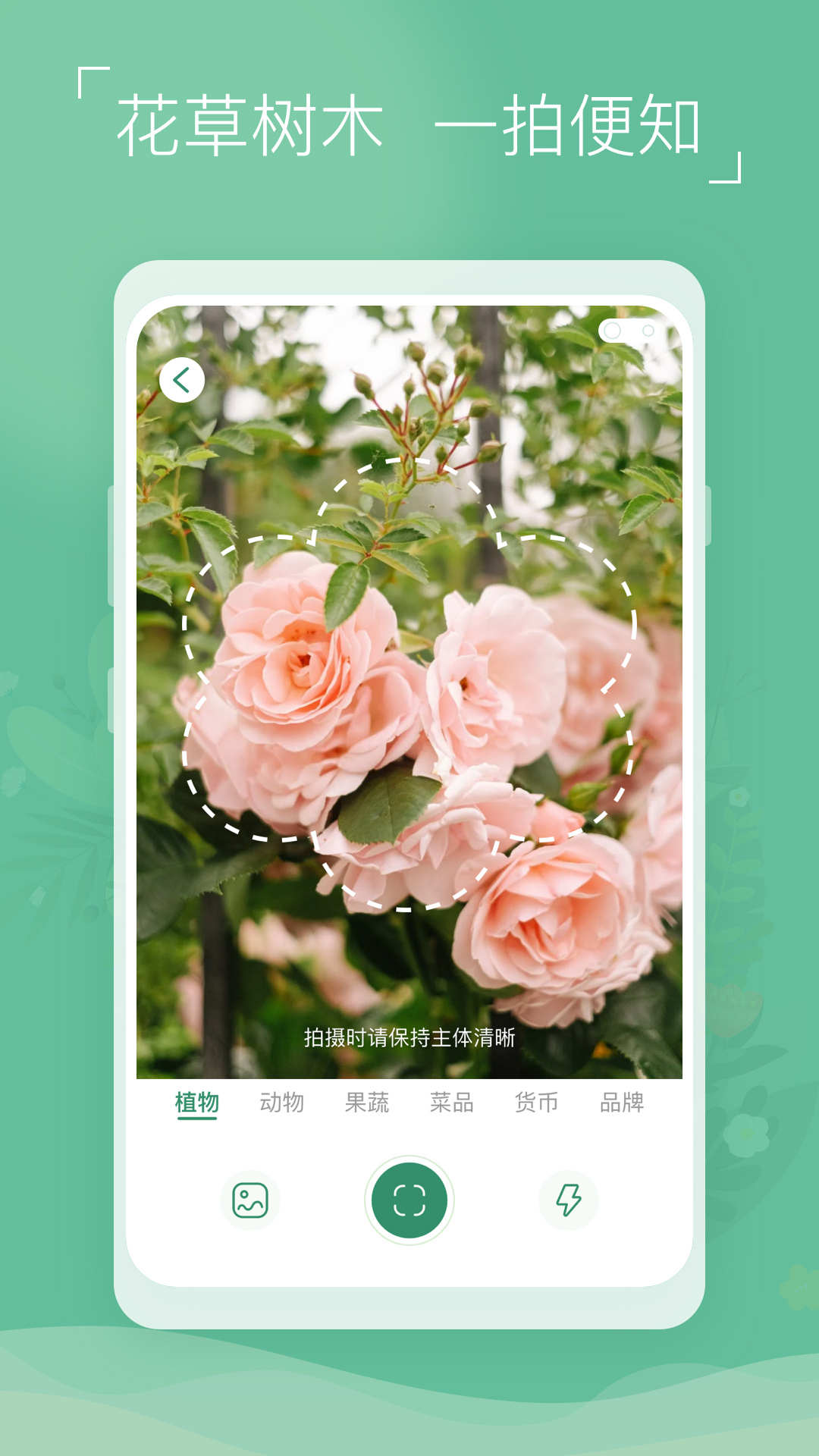 植物識別寶app版截圖5