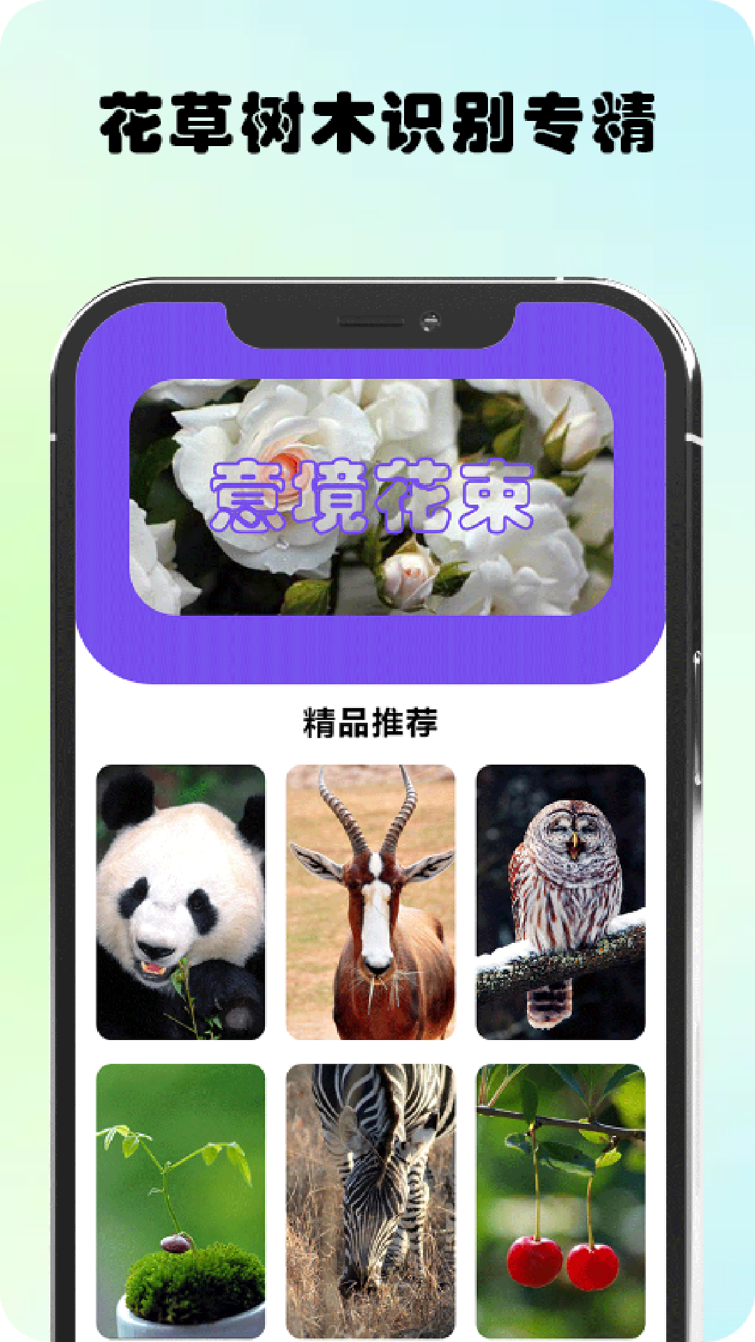 萬物識圖高手APP最新版截圖4