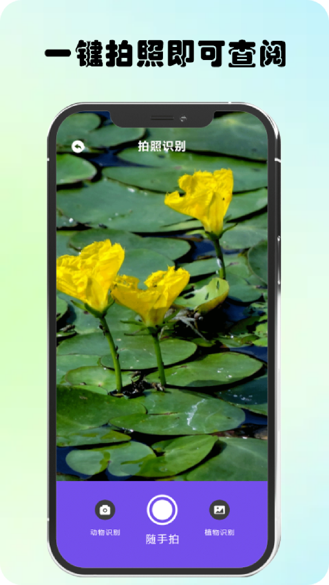 萬物識圖高手APP最新版截圖5