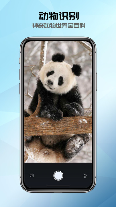 全能識別器APP最新版截圖2