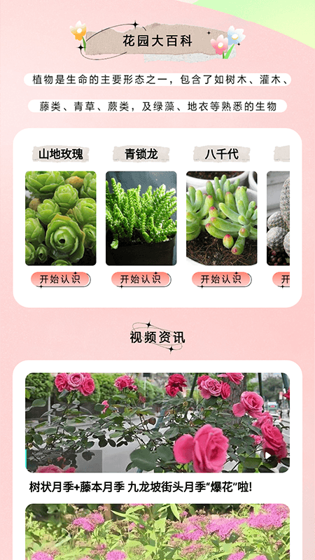 萬物識圖大師app最新版截圖2