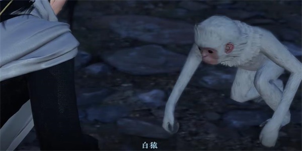 逆水寒手游白猿獻(xiàn)圖奇遇攻略