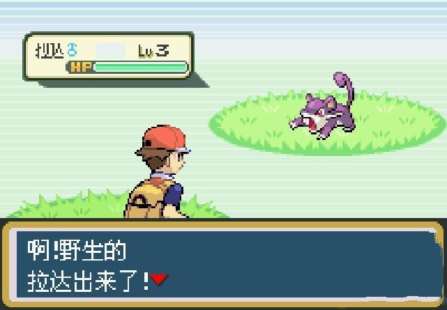 究极绿宝石5.5正式版更新下载安装版3