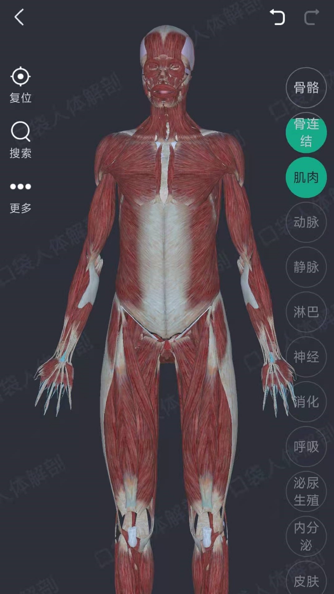 萬康人體解剖3D軟件版截圖3