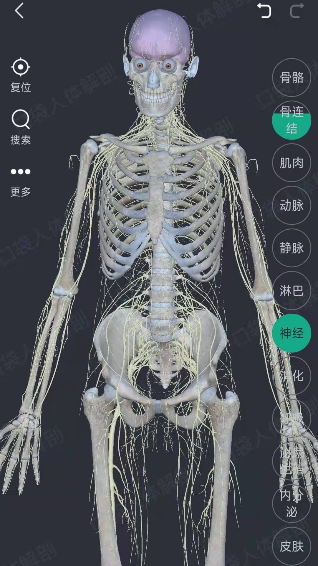 萬康人體解剖3D軟件版截圖2