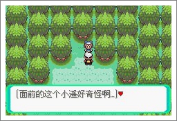 口袋妖怪漆黑的魅影5.0ex+bw攻略  漆黑的魅影5.0ex+bw一周目/二周目圖文通關(guān)一覽[多圖]圖片10