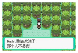 口袋妖怪漆黑的魅影5.0ex+bw攻略  漆黑的魅影5.0ex+bw一周目/二周目圖文通關(guān)一覽[多圖]圖片11