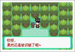 口袋妖怪漆黑的魅影5.0ex+bw攻略  漆黑的魅影5.0ex+bw一周目/二周目圖文通關(guān)一覽[多圖]圖片12