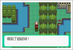 口袋妖怪漆黑的魅影5.0ex+bw攻略  漆黑的魅影5.0ex+bw一周目/二周目圖文通關(guān)一覽[多圖]圖片22