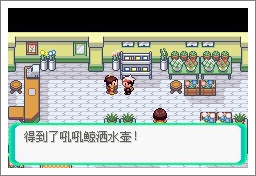 口袋妖怪漆黑的魅影5.0ex+bw攻略  漆黑的魅影5.0ex+bw一周目/二周目圖文通關(guān)一覽[多圖]圖片23