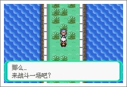 口袋妖怪漆黑的魅影5.0ex+bw攻略  漆黑的魅影5.0ex+bw一周目/二周目圖文通關(guān)一覽[多圖]圖片48
