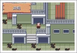 口袋妖怪漆黑的魅影5.0ex+bw攻略  漆黑的魅影5.0ex+bw一周目/二周目圖文通關一覽[多圖]圖片89