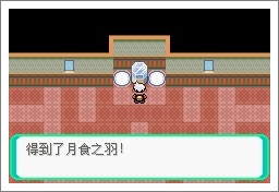 口袋妖怪漆黑的魅影5.0ex+bw攻略  漆黑的魅影5.0ex+bw一周目/二周目圖文通關(guān)一覽[多圖]圖片83
