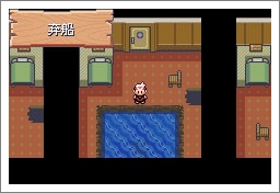 口袋妖怪漆黑的魅影5.0ex+bw攻略  漆黑的魅影5.0ex+bw一周目/二周目圖文通關一覽[多圖]圖片91