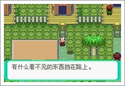 口袋妖怪漆黑的魅影5.0ex+bw攻略  漆黑的魅影5.0ex+bw一周目/二周目圖文通關(guān)一覽[多圖]圖片105