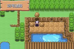 口袋妖怪漆黑的魅影5.0ex+bw攻略  漆黑的魅影5.0ex+bw一周目/二周目圖文通關(guān)一覽[多圖]圖片199
