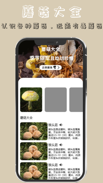 蘑菇識(shí)別高手app下載截圖2