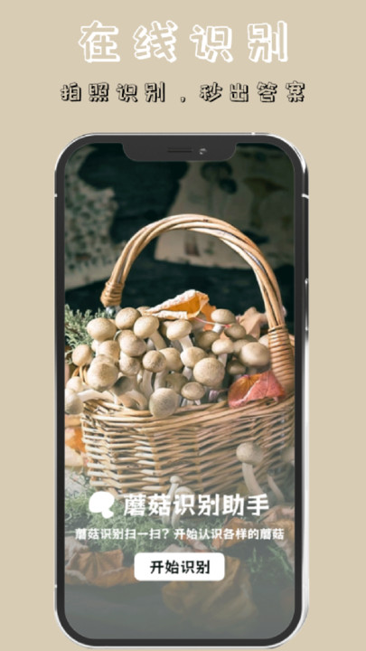 蘑菇識(shí)別高手app下載截圖4