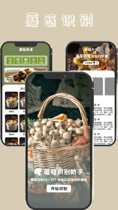 蘑菇識(shí)別高手app下載截圖1