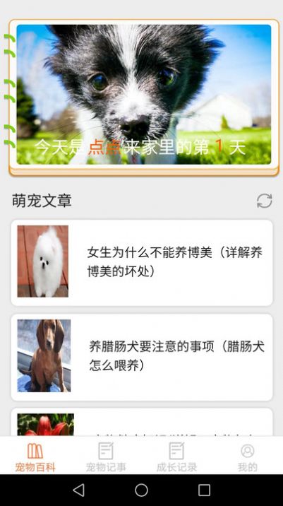 寵物點(diǎn)點(diǎn)app最新版截圖5