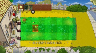 pvzNr版0.0.4下載安裝手機版截圖1