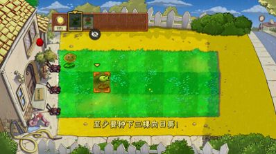 pvzNr版0.0.4下載安裝手機版截圖4