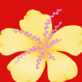 花好月圓游戲正版紅包版