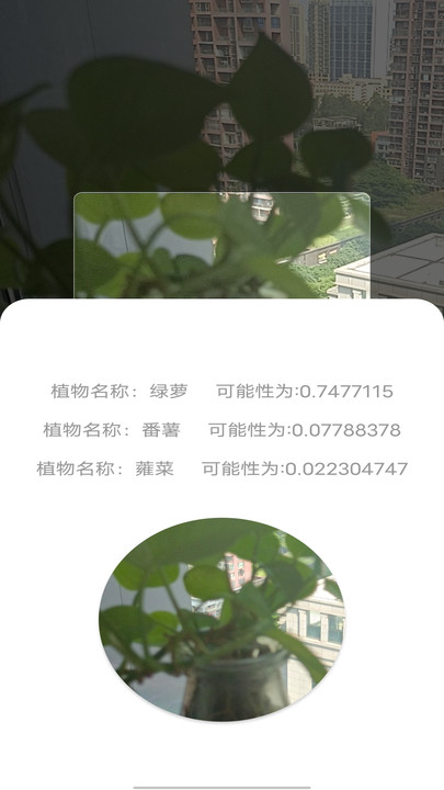 拍照识别植物弛意版app版截图3: