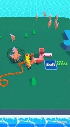 动物捕获游戏中文版截图2: