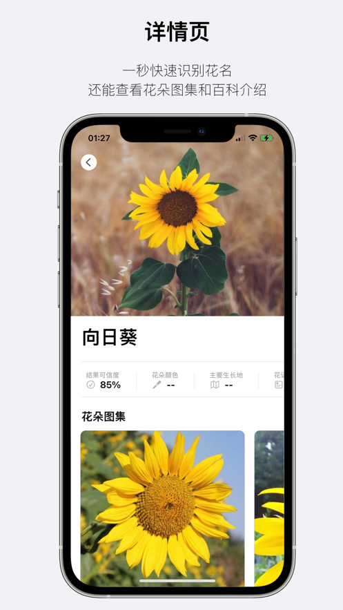 這是什么花看圖識(shí)花app版截圖3