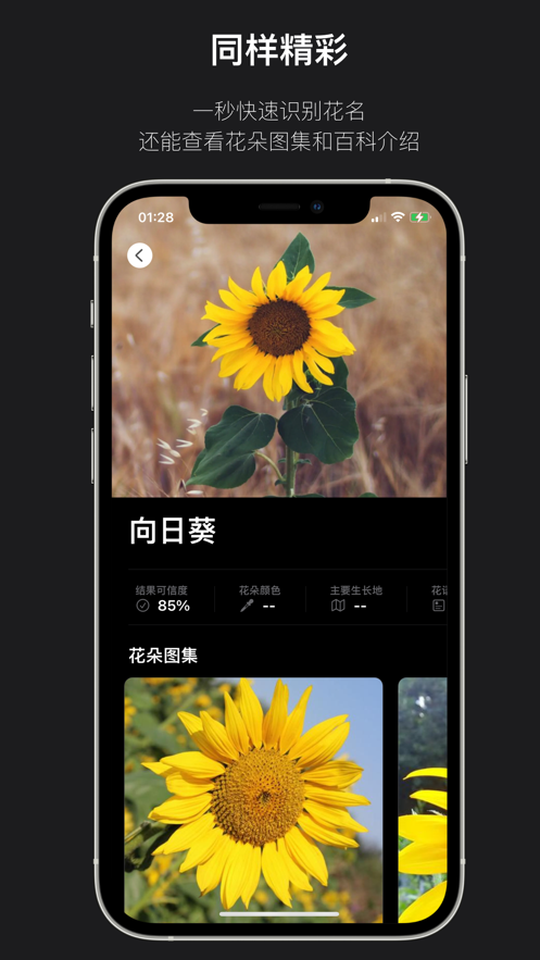 這是什么花看圖識(shí)花app版截圖4