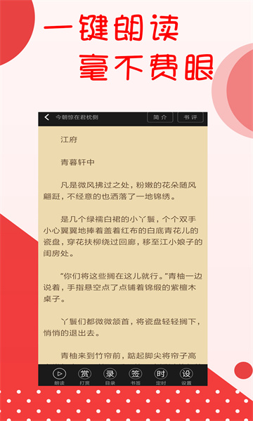 閱聽小說app下載最新版截圖2