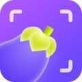 茄子水印相机app最新版
