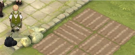 森之國度怎么種植 種植任務攻略