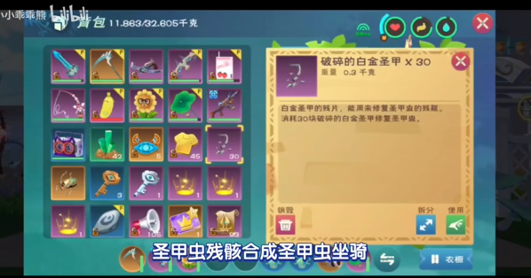 創(chuàng)造與魔法圣甲蟲(chóng)坐騎怎么獲得
