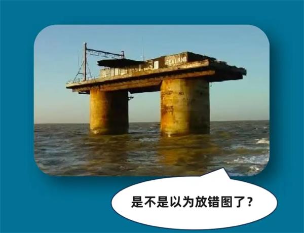 淘寶每日一猜9.8