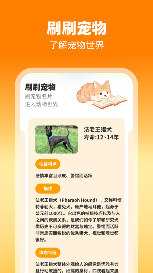 刷刷有喜軟件版截圖4