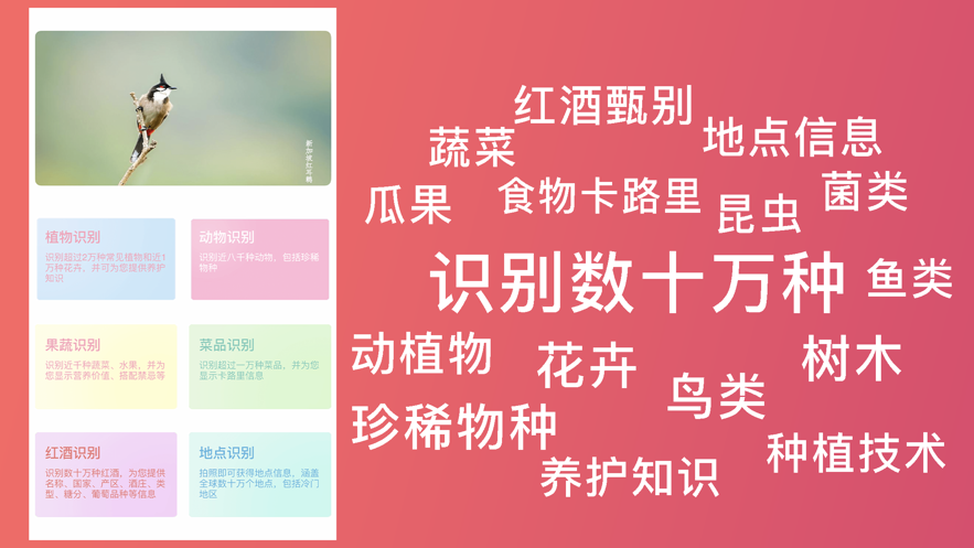 超強(qiáng)識別軟件版截圖1