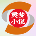 灵梦小说软件下载