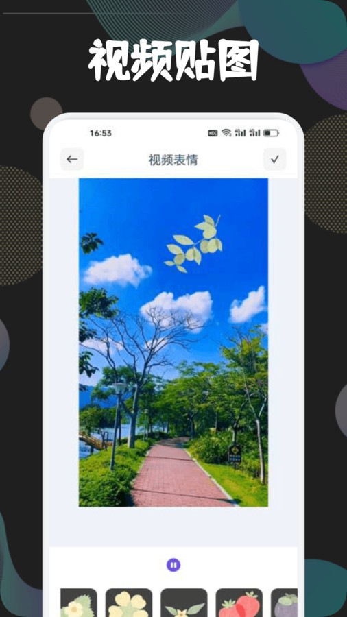 狮子影视投屏软件版4