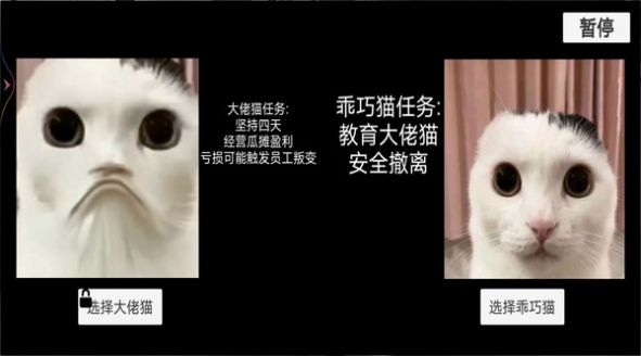 貓貓驚魂夜中文手機(jī)版截圖1